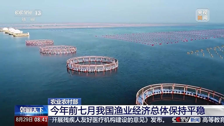 成交量、成交额双增长 今年前七个月我国渔业经济总体保持平稳