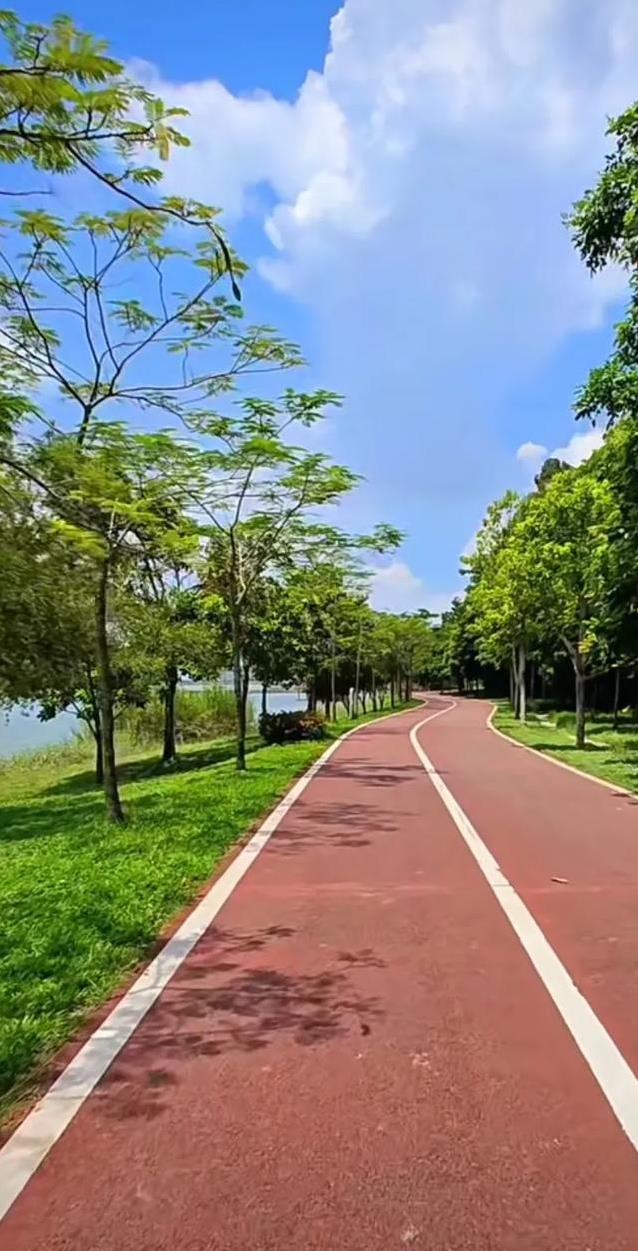 年纪大了还能跑步吗？七老八十照样跑，秘诀却出人意料