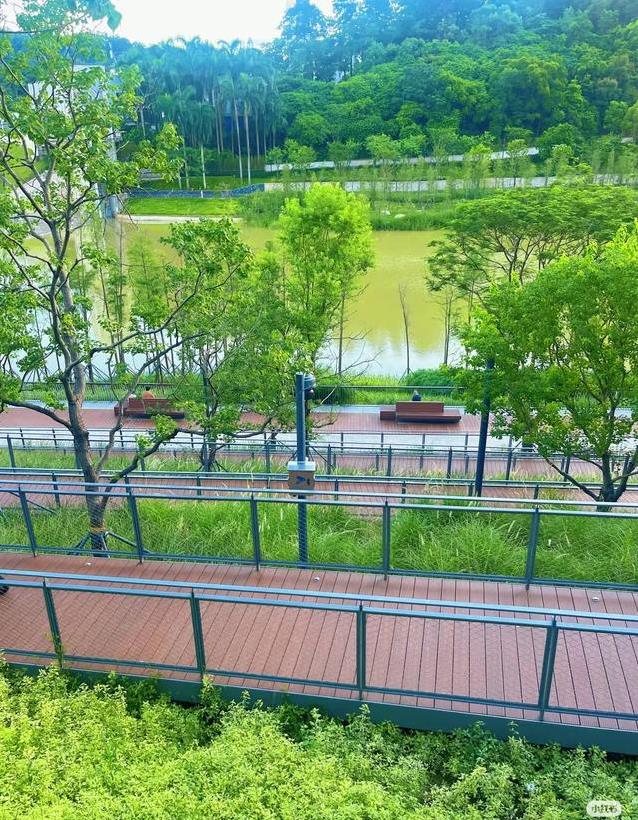 年纪大了还能跑步吗？七老八十照样跑，秘诀却出人意料