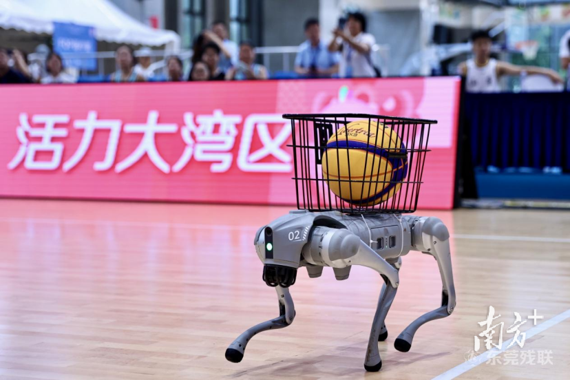 冲刺100天！东莞以“硬核保障+暖心服务”赋能残特奥会
