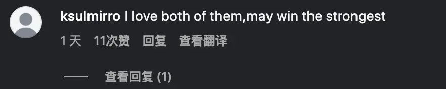 国外拳迷如何评价张伟丽vs舍甫琴科？
