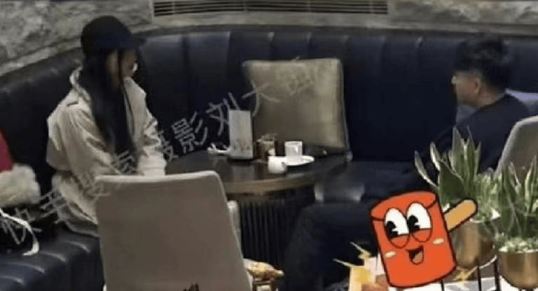 曝辛芷蕾翟天临分手原因，男方无缝衔接新欢，辛芷蕾情伤后冲事业