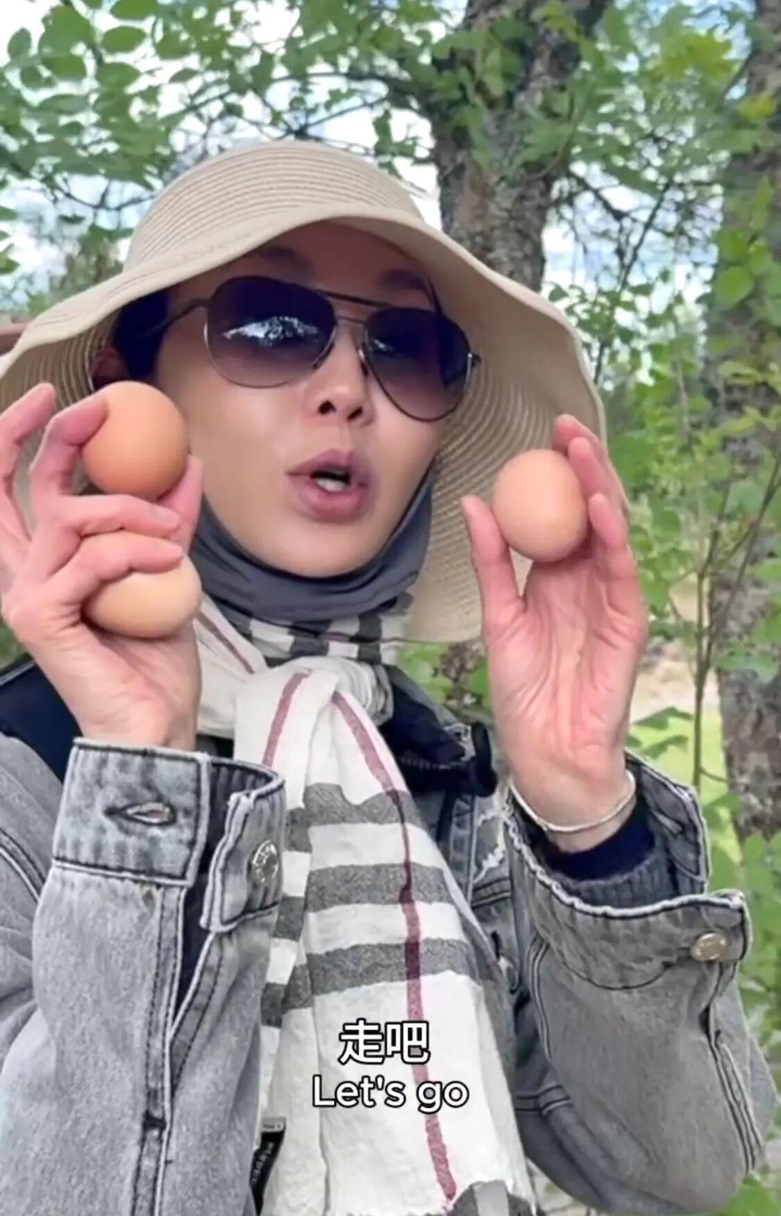 演员张曼玉的院子又火了，仅一鸡舍就圈粉百万，一看就不是摆拍！