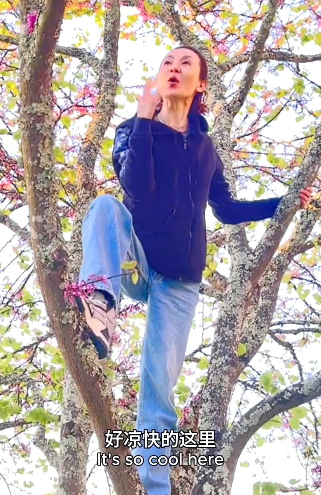 演员张曼玉的院子又火了，仅一鸡舍就圈粉百万，一看就不是摆拍！