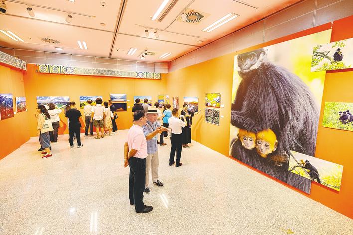 ��Ӱ��������ȫ��������Ӱ��չ��Ļ