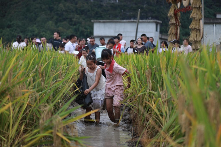 孩子们在体验抓鱼。