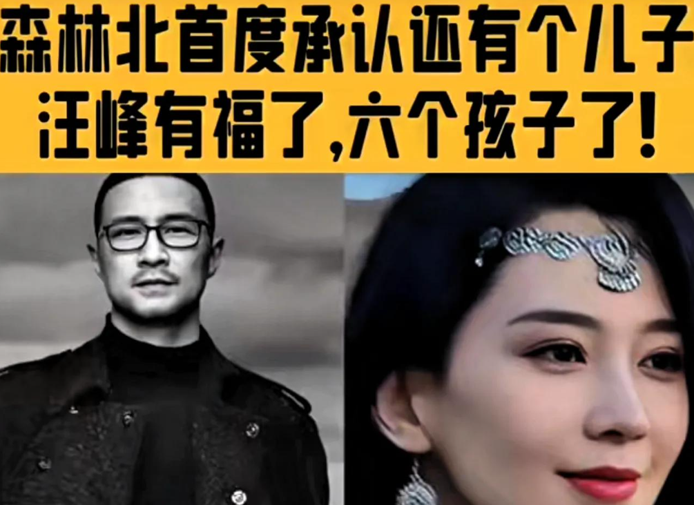 森林北晒出 “藏了多年” 的儿子！汪峰 6 孩重组家，责任成焦点！