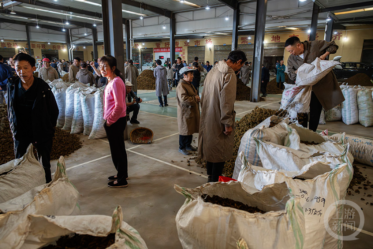 ���ϣ�234��| ����������Ӱ������Ʒչ�����κ���Ʒ