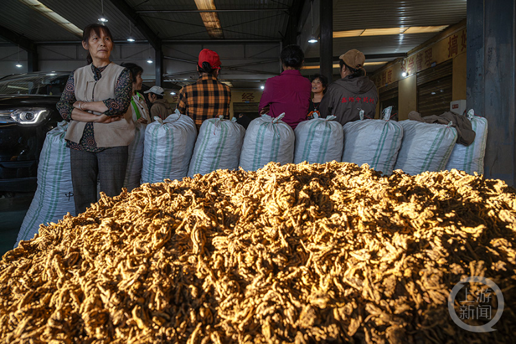 ���ϣ�234��| ����������Ӱ������Ʒչ�����κ���Ʒ