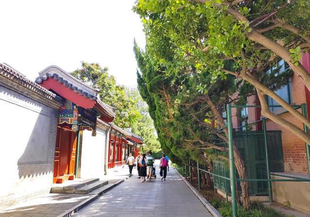 天安门旁古树千年不倒，藏600年祭坛秘密，你知道吗？