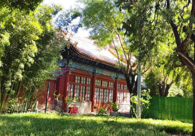 天安门旁古树千年不倒，藏600年祭坛秘密，你知道吗？