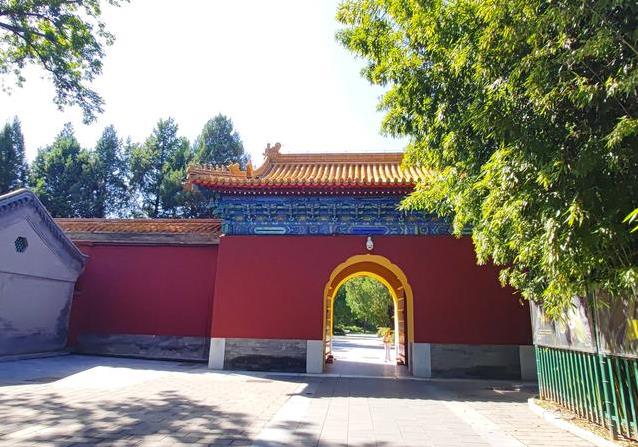 天安门旁古树千年不倒，藏600年祭坛秘密，你知道吗？