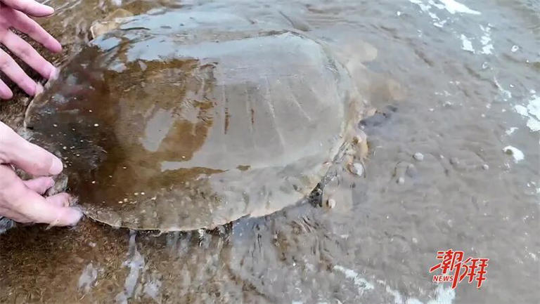 给分手的男朋友斩桃花-第1张图片-优品飞百科