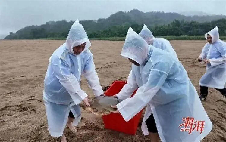 给分手的男朋友斩桃花-第2张图片-优品飞百科