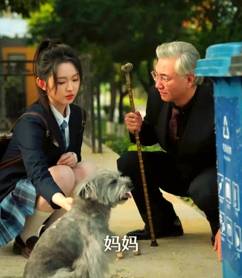 十八岁太奶奶驾到重整家族荣耀，这部短剧打破常规堪称佳作