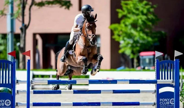 朱珠马场陪老公比赛，下厨做三道硬菜，味道好到全家夸不停