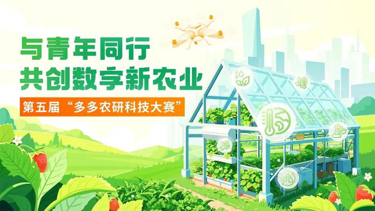 拼多多科技竞赛如何为农业人才“搭台”，为农产品上行“铺路”？