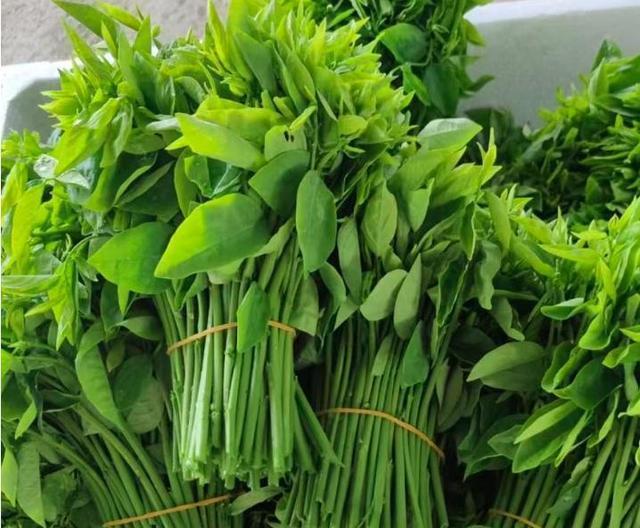 推荐菜式：蒜蓉炒树仔菜