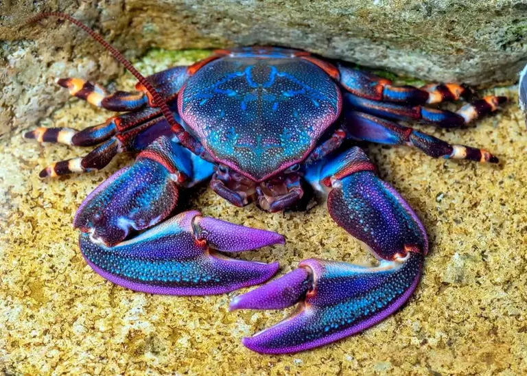 зɡзҬзȶֻз˵ļзȻΪɶ조з
