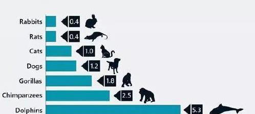 恐龙称霸1.6亿年,人类3000万年逆袭,智慧差在哪?