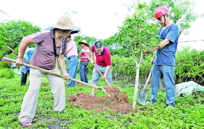 家有喜事种棵树 移风易俗扬新风