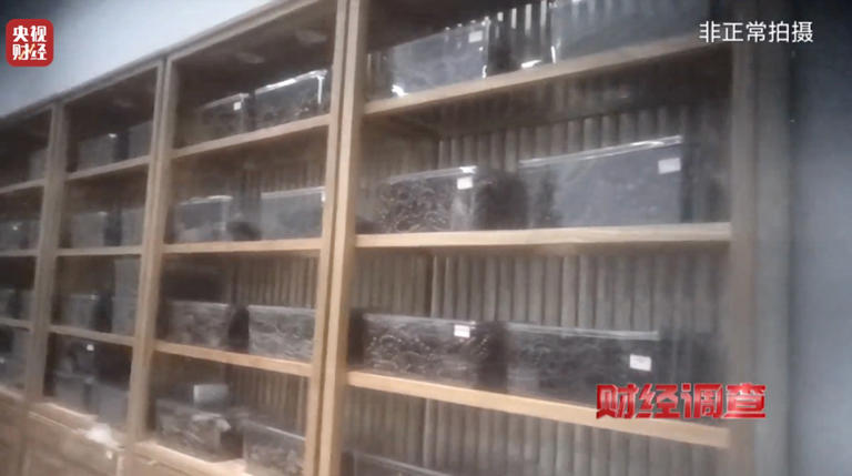 造假！曝光！知名沉香市场有商户挂羊头卖狗肉！