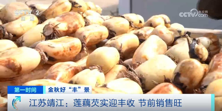 金秋时节“丰”光无限 多彩丰收画面拼就乡村振兴盛景图