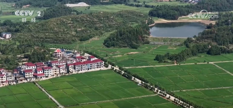 金秋时节“丰”光无限 多彩丰收画面拼就乡村振兴盛景图