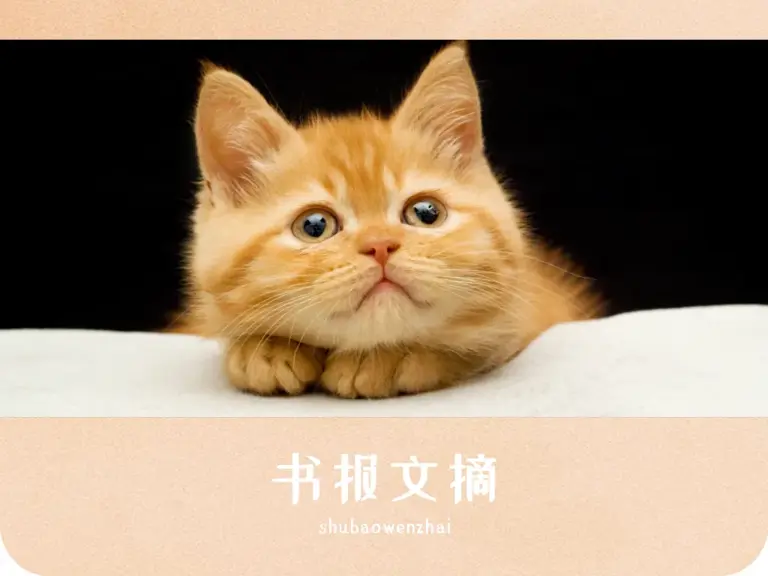 人生三境界：迷而不失、惊而不乱、笑而不语