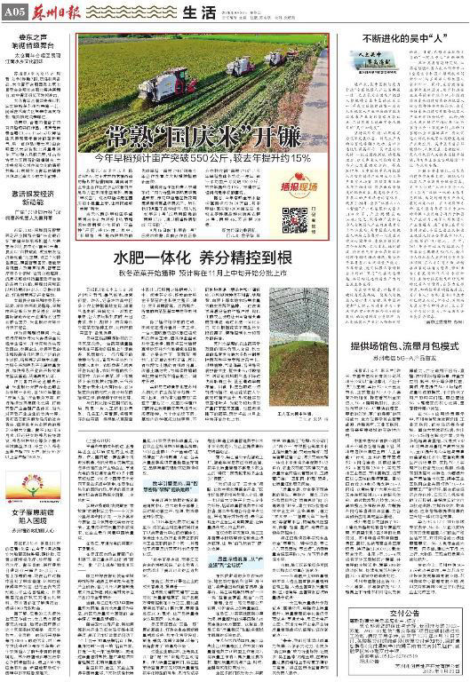 常熟“国庆米”开镰