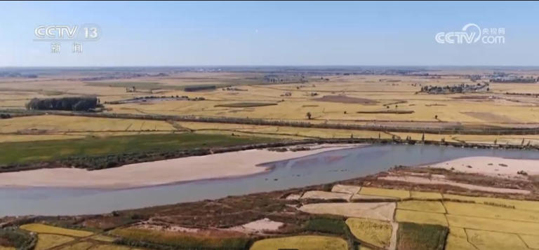 我国绿色农产品供给能力稳步增强 “绿色优质”成为普惠民生常态