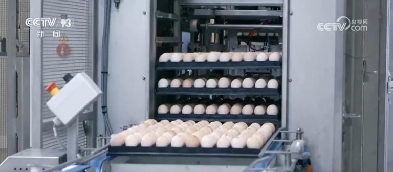 我国绿色农产品供给能力稳步增强 “绿色优质”成为普惠民生常态