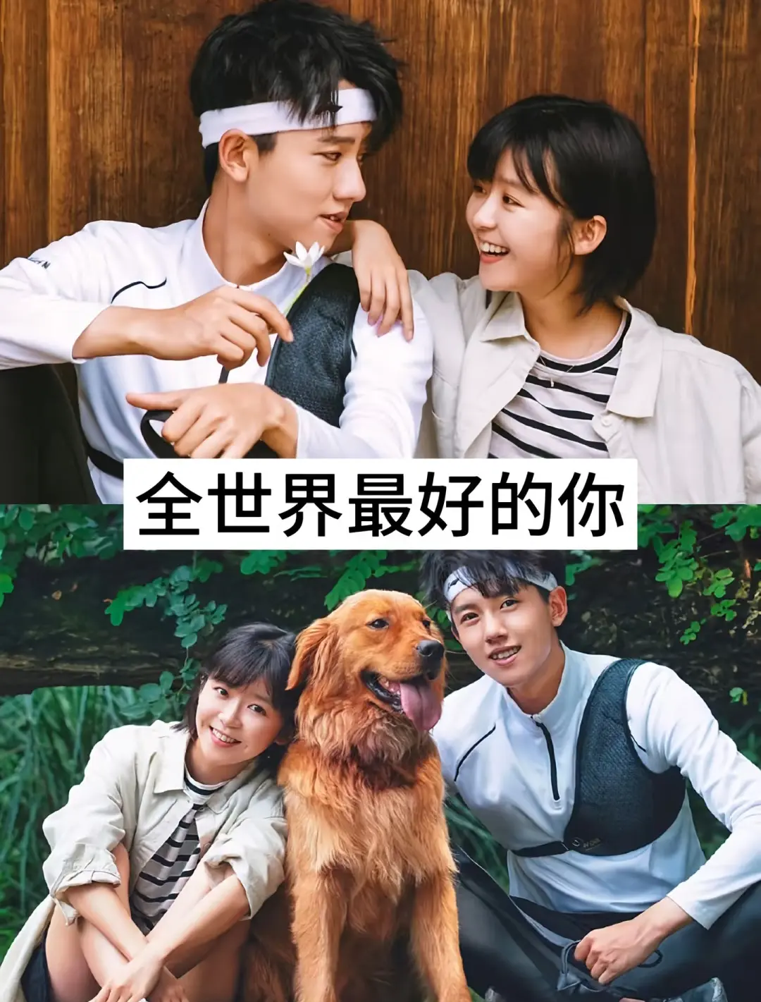 强烈推荐，12部青春校园剧，你看过哪些？