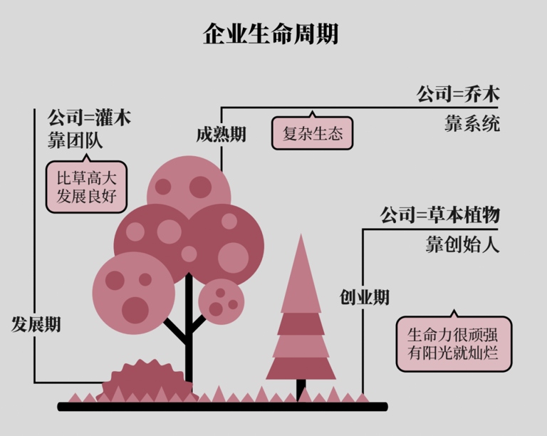 高清图解如何快速掌握底层逻辑
