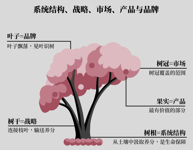 高清图解如何快速掌握底层逻辑