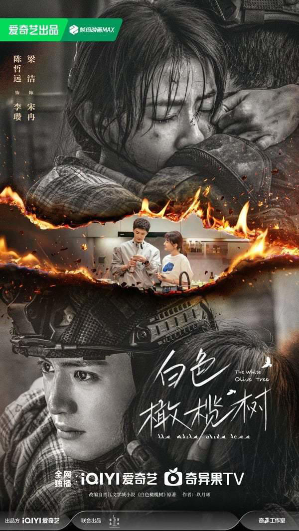 2025甜宠剧推荐30部！白敬亭《难哄》张凌赫《爱你》必看，宋威龙《骄阳似我》绝对火