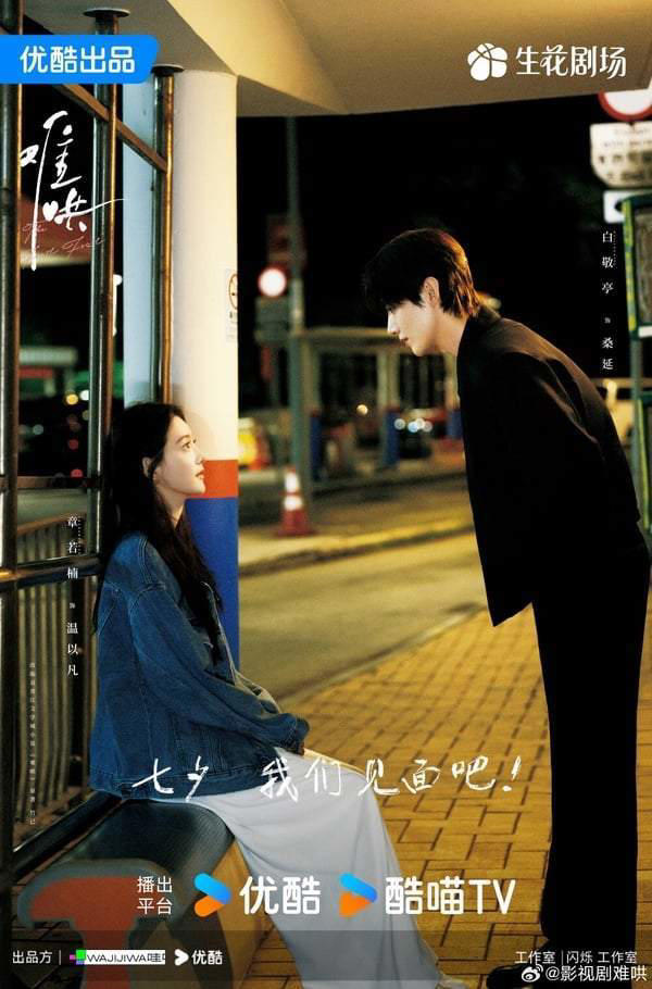 2025甜宠剧推荐30部！白敬亭《难哄》张凌赫《爱你》必看，宋威龙《骄阳似我》绝对火