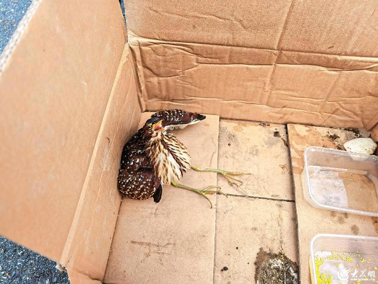 ص񣬱ͶˣЯֳɹҡСϱέZ