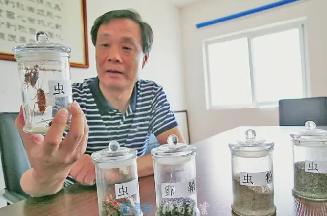 辞去公务员上山养蟑螂，10年养殖40亿只，李延荣如今收入百亿