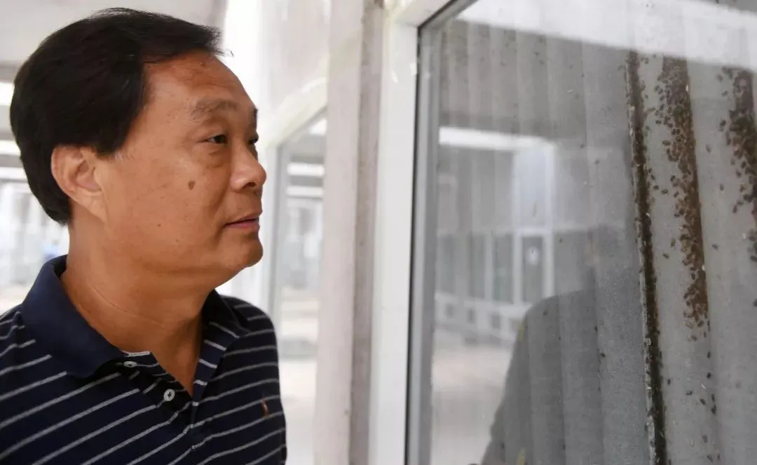 辞去公务员上山养蟑螂，10年养殖40亿只，李延荣如今收入百亿