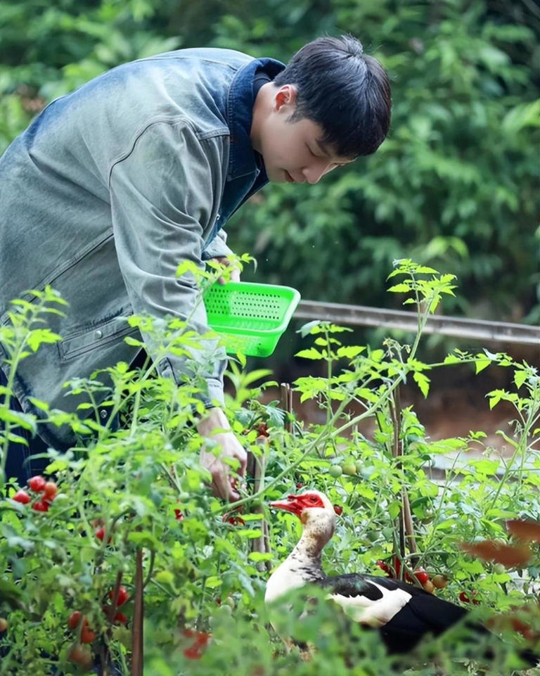 《向往的生活8》定档开播，网友：不该走的走了，该走的却留下了