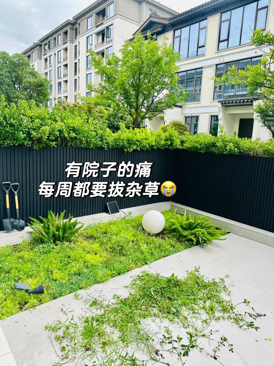 为什么越来越多人搬离带小院的一楼？老住户说出实情，原因很简单