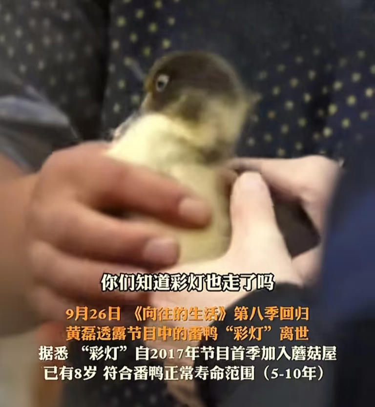 孙红雷的话没说错！55岁带呼吸机的黄磊，给所有中年男性提了个醒