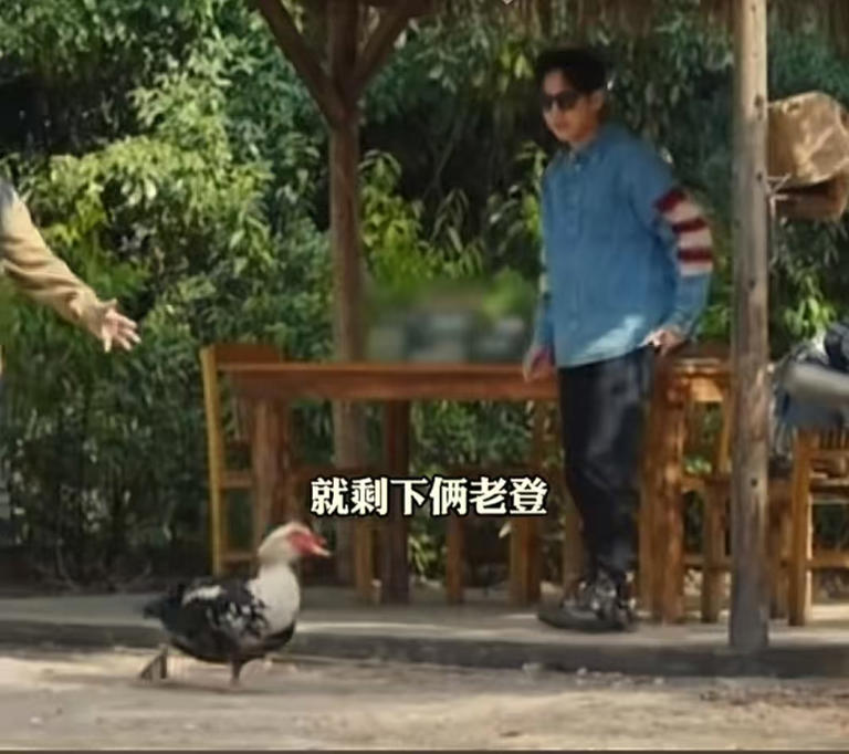 孙红雷的话没说错！55岁带呼吸机的黄磊，给所有中年男性提了个醒