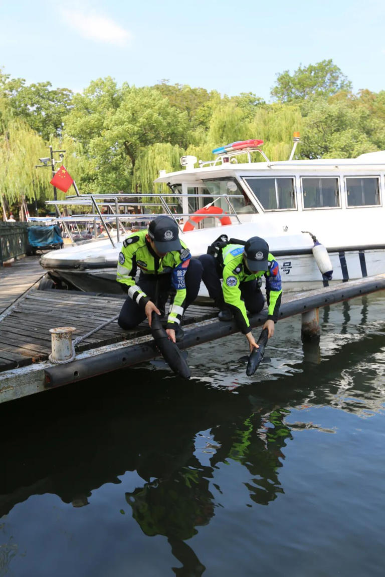 西湖发现“鲨鱼”？还不止一条！官方回应