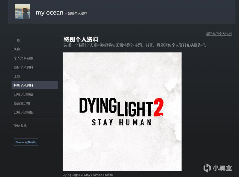 教你怎么简单美化自己的steam主页