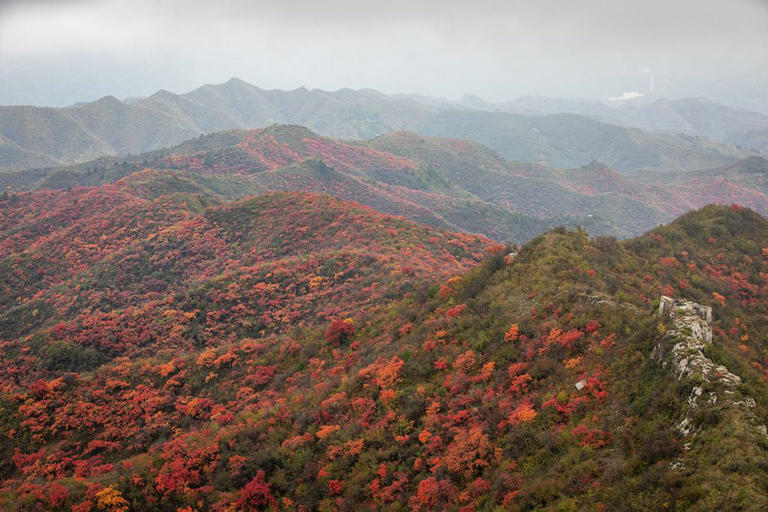 山西柳林：红叶漫山秋意浓