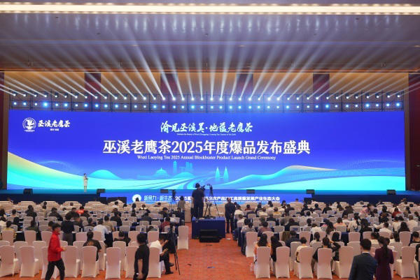 2025“巫溪老鹰茶”爆品发布会。主办方供图