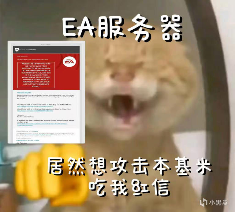 “误封等误解？”关于EA反作弊抽风封号潮事件