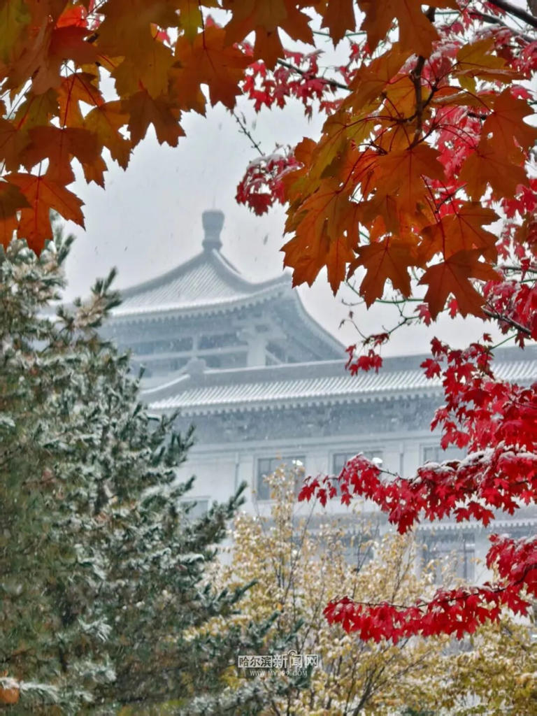 为何今年初雪来的这么早？“冰点”气温比去年提前一周到？